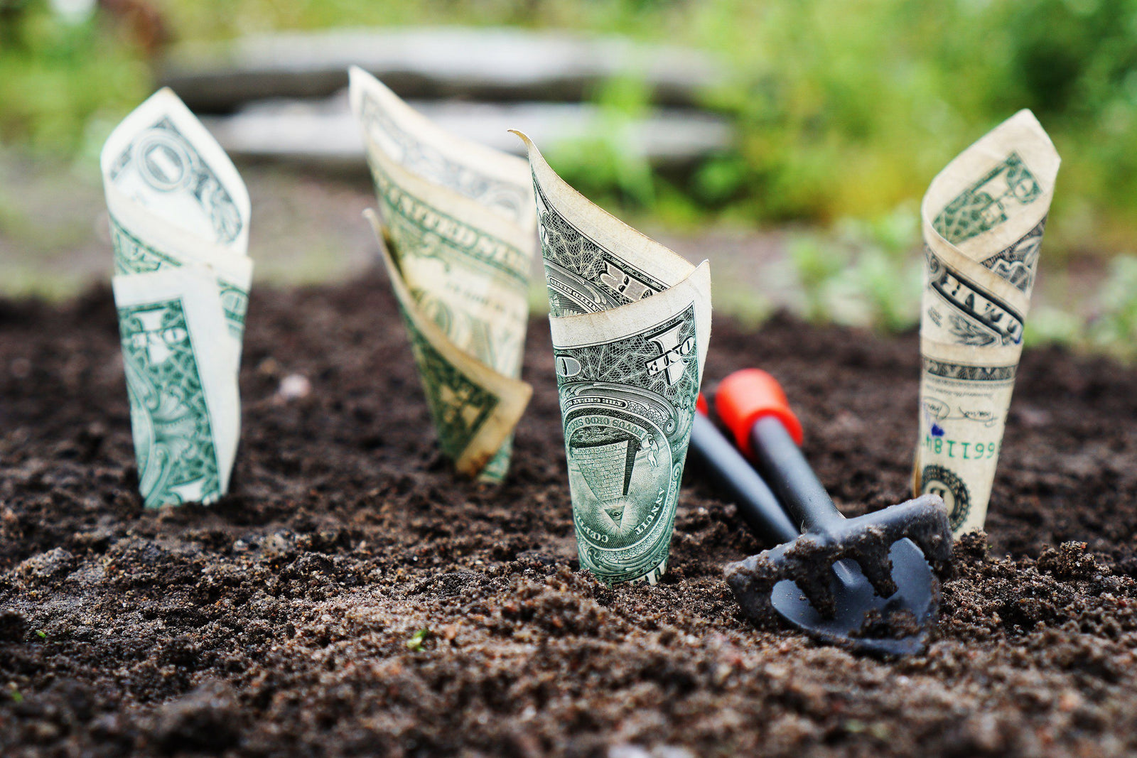 5 Green Ideas for Saving Money in 2018