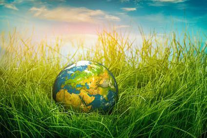 6 Simple Ways to Lead a Greener Life